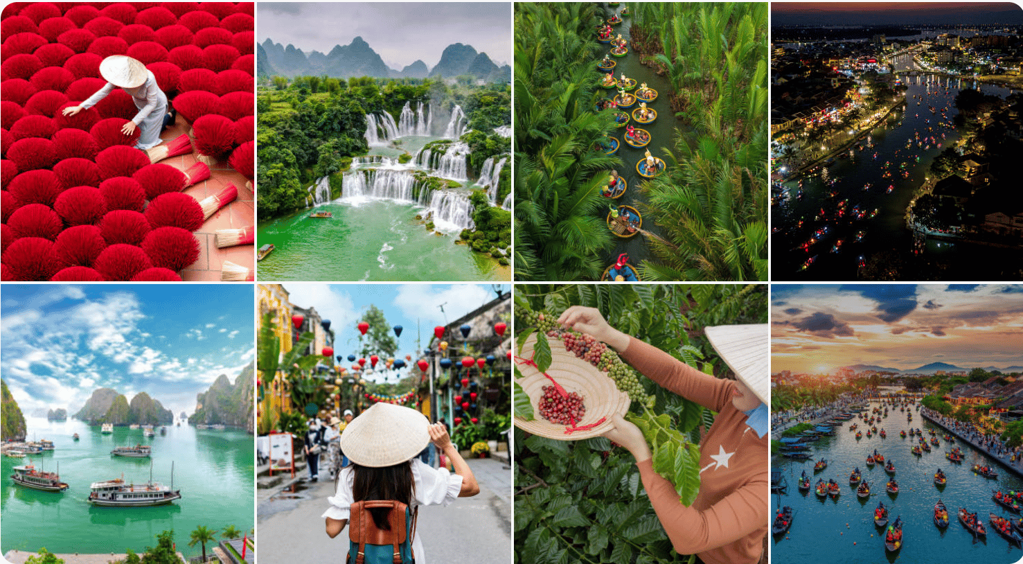 Hanoi vs Da Nang vs Ho Chi Minh City · Which First?
