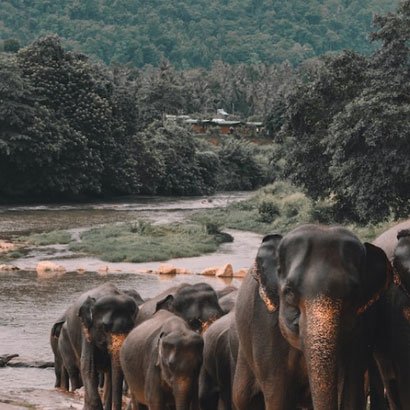 Kerala